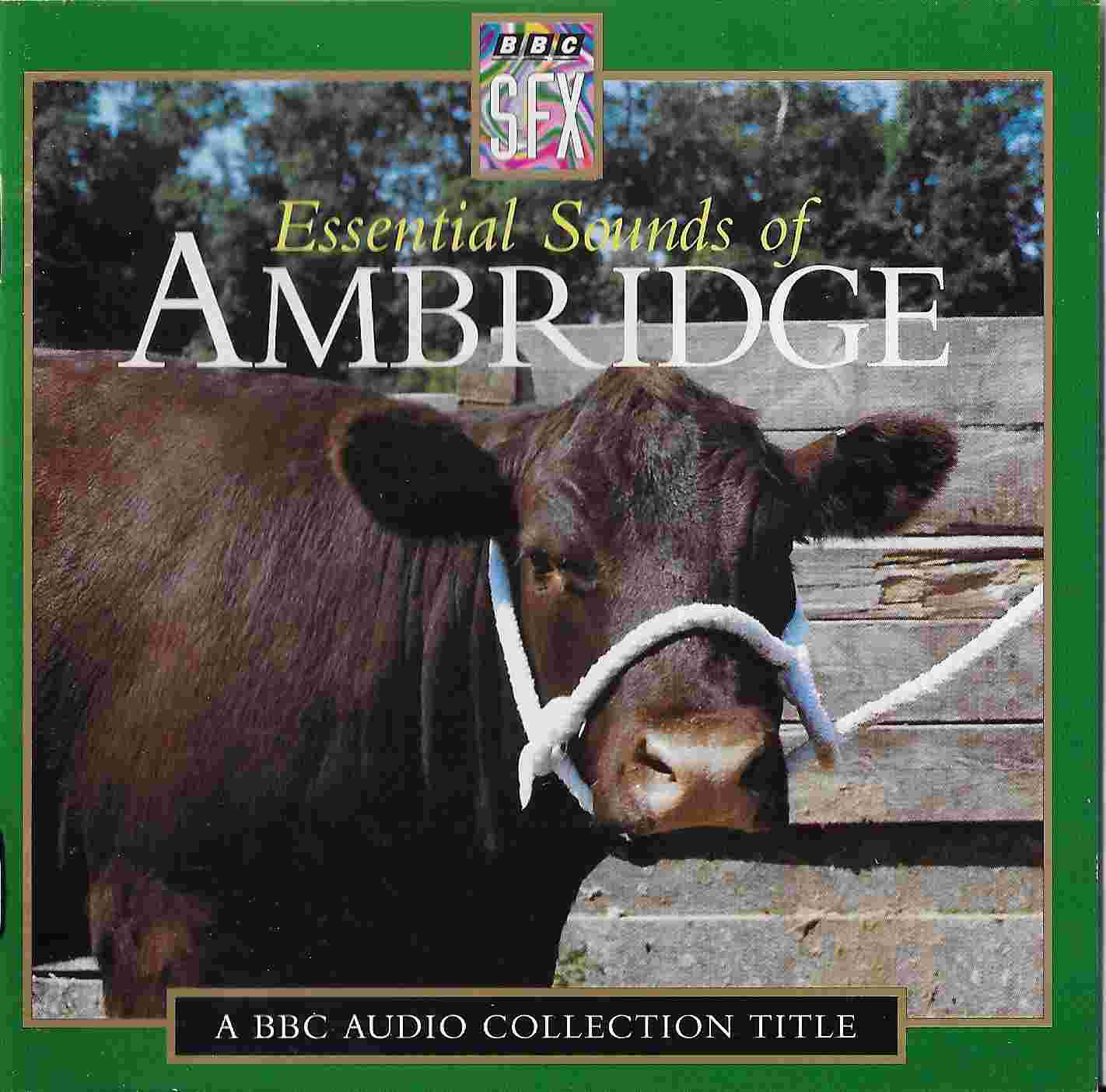 Picture of Essential sounds of Ambridge by artist Various from the BBC cds - Records and Tapes library