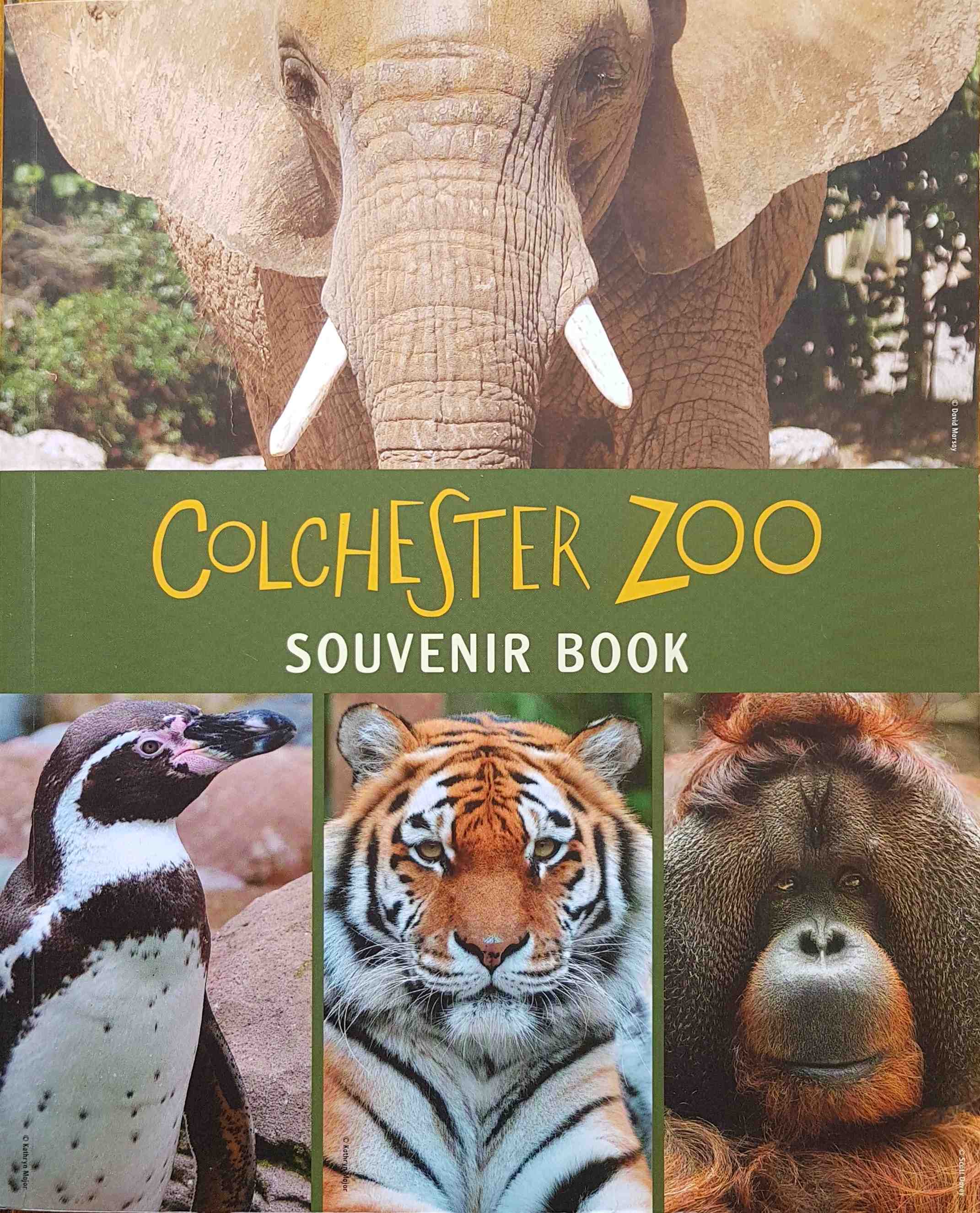 Picture of Colchester Zoo souvenir book by artist Scott Davey / David Marsay / Tom Smith / Melvin Vinyard / Christian Volke 