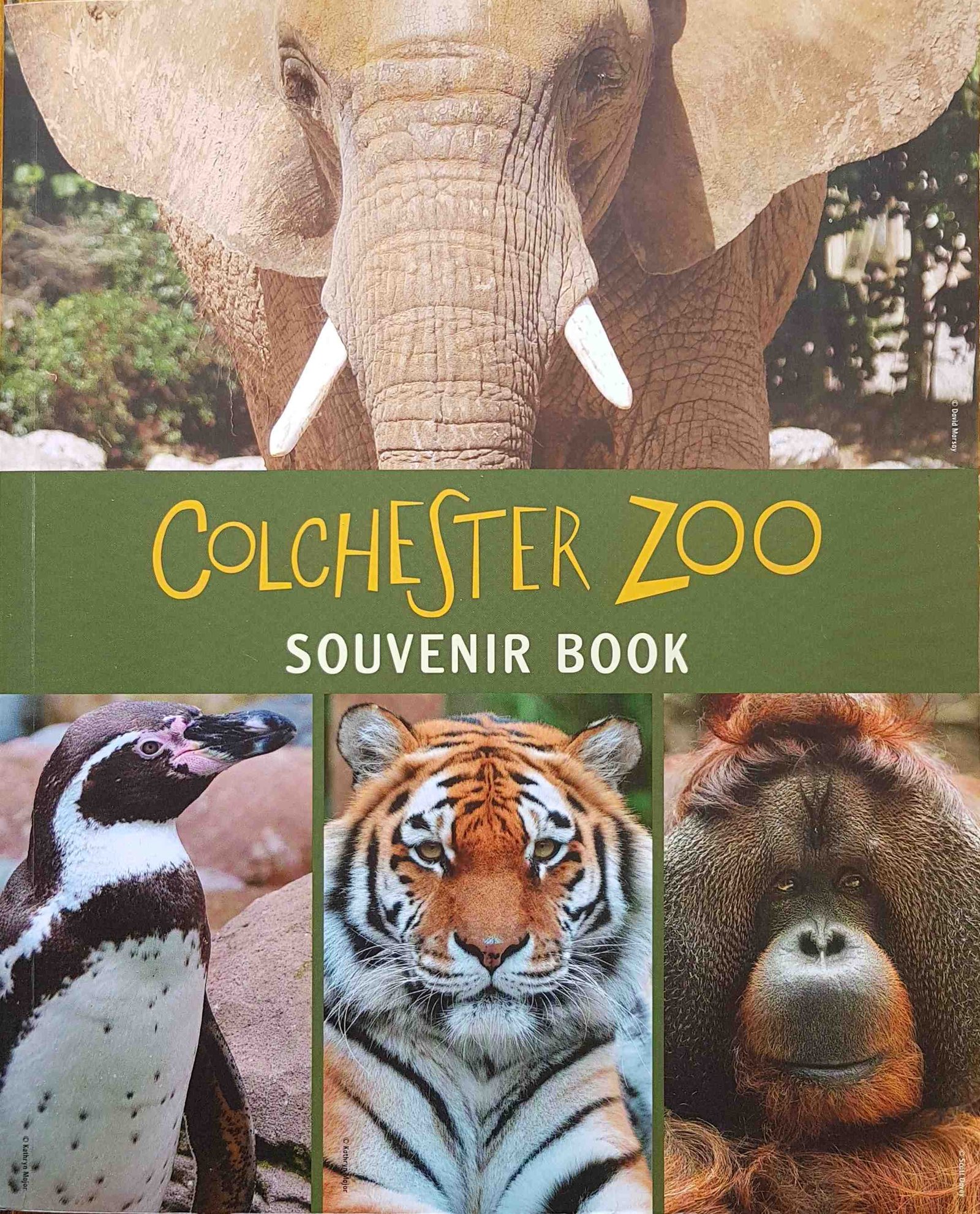 Front cover of Books-CZSB
