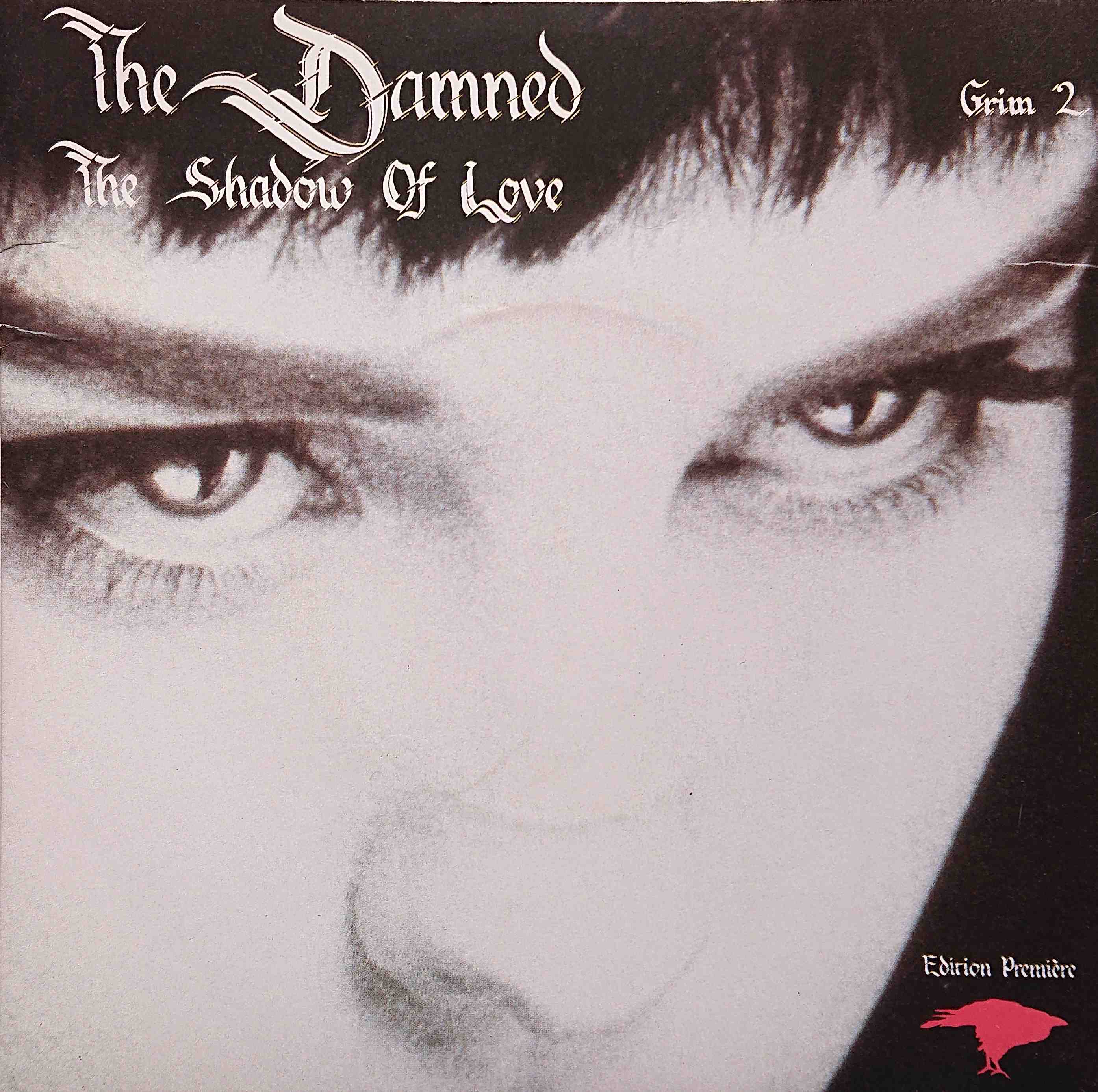 Picture of The shadow of love by artist The Damned  