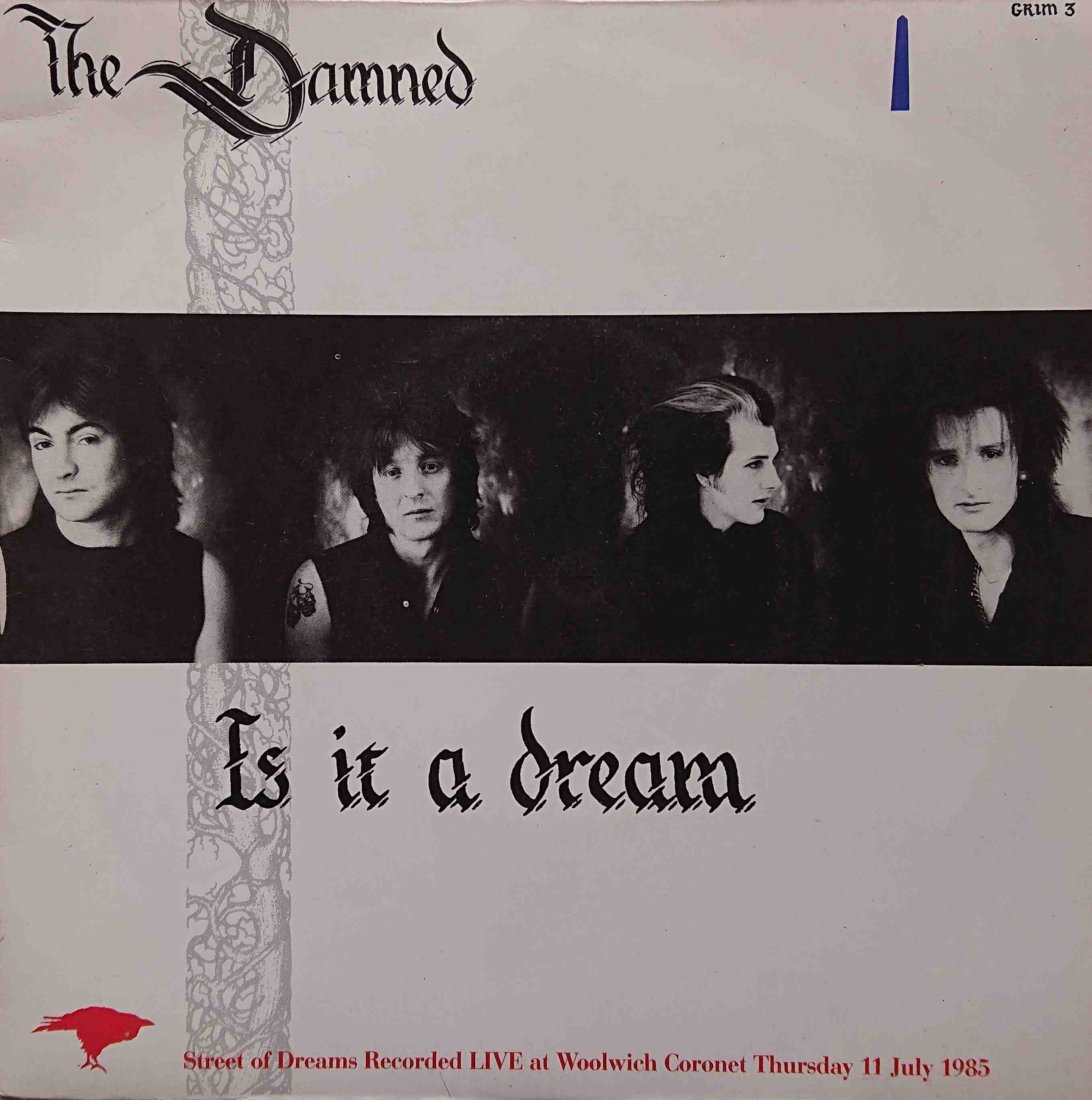 Picture of Is it a dream by artist The Damned 