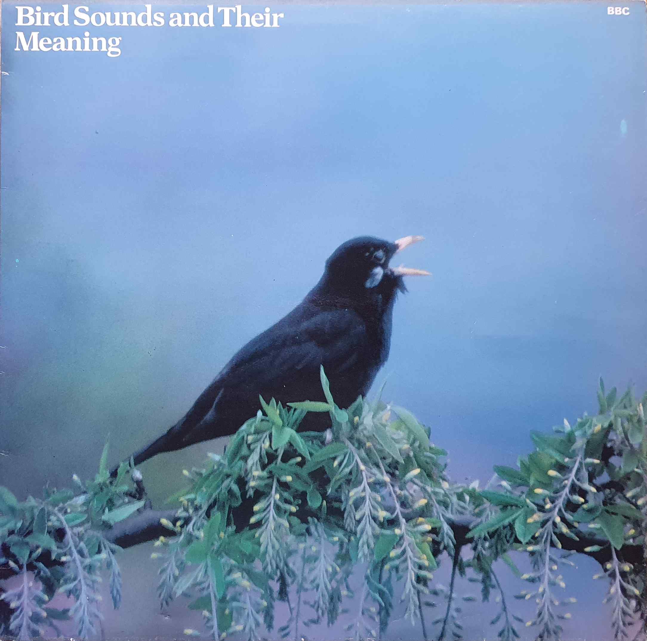 Picture of OP 224 Bird sounds and their meaning by artist Terry Gompertz from the BBC albums - Records and Tapes library