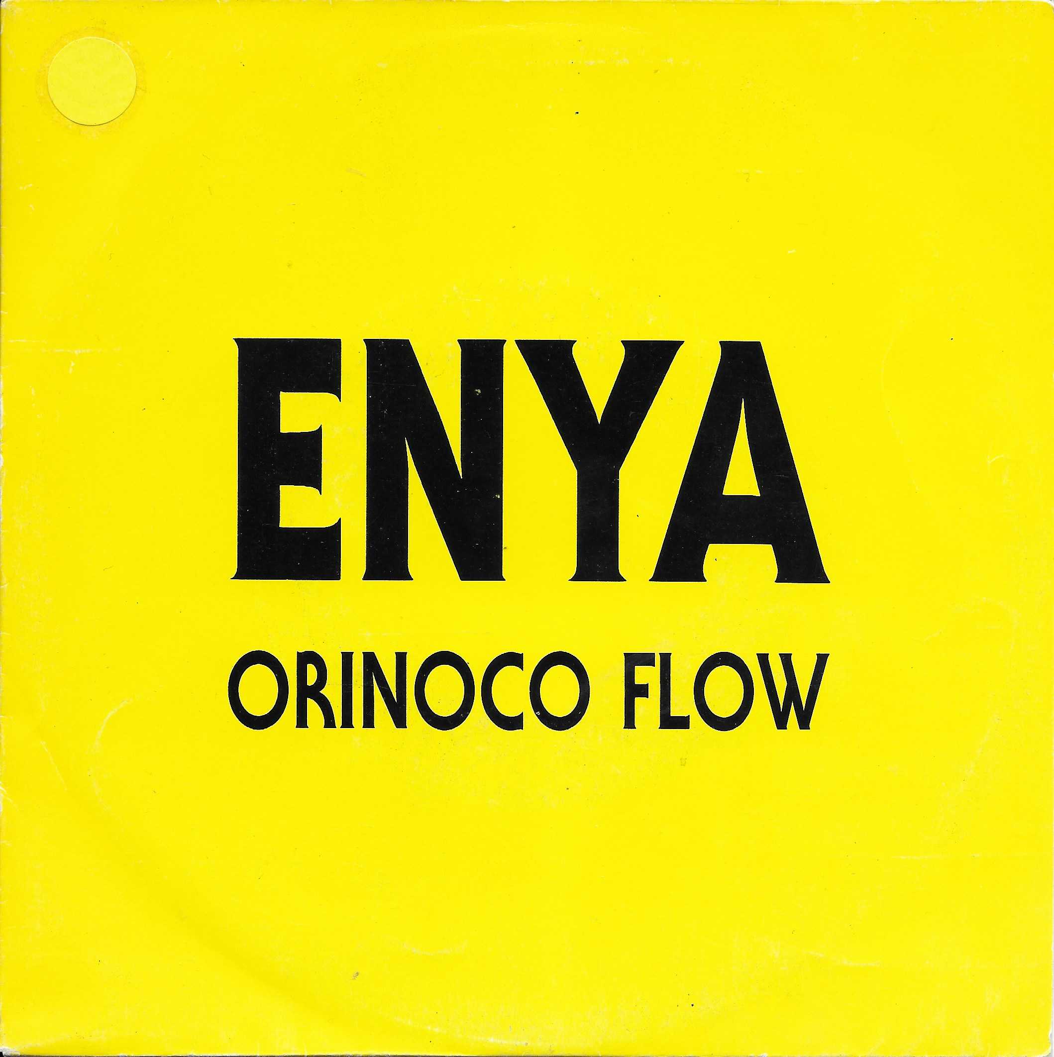 Picture of Orinoco flow by artist Enya 