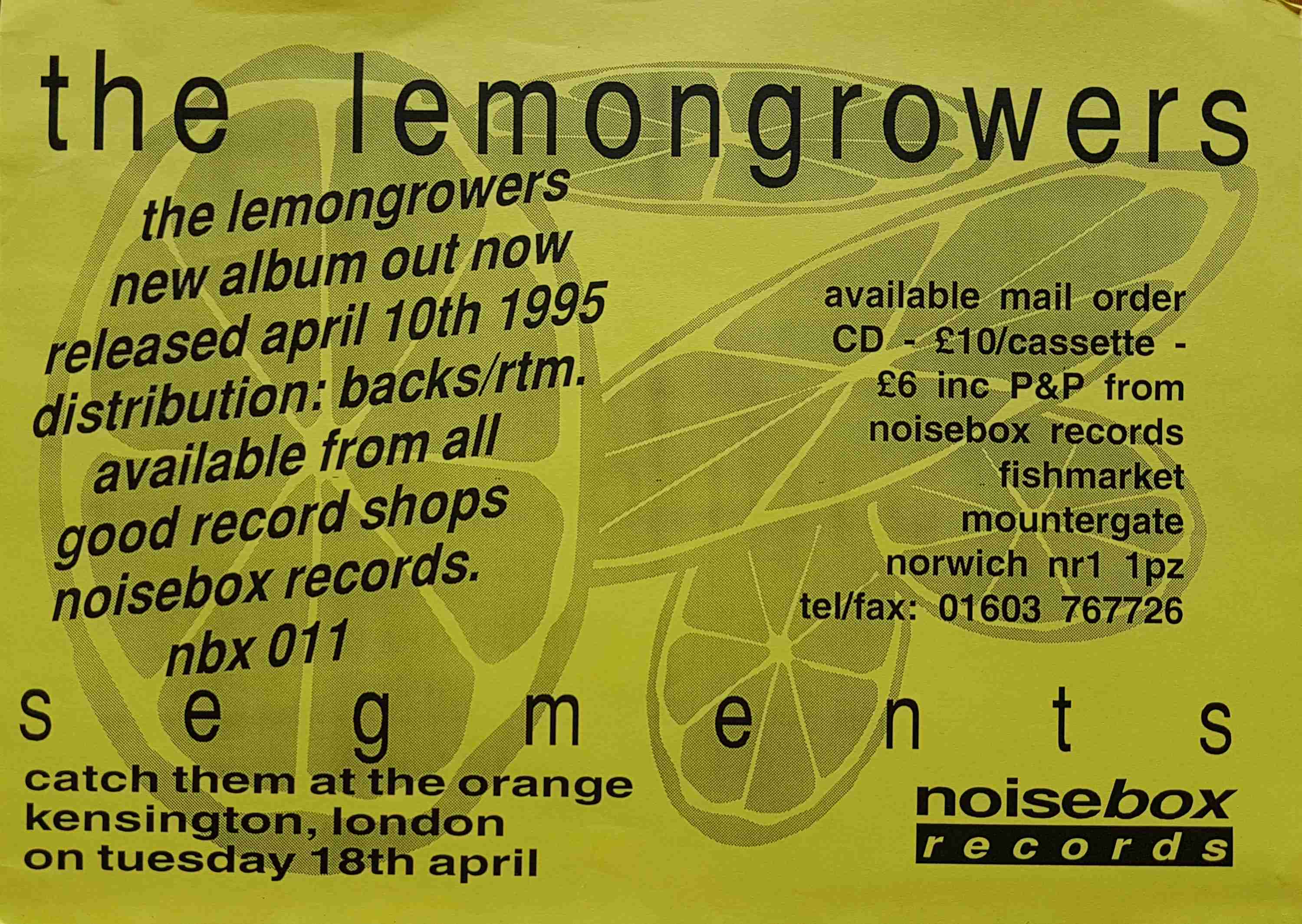 Picture of Poster-TLG-SM Segments - Medium (Orange) by artist The Lemon Growers