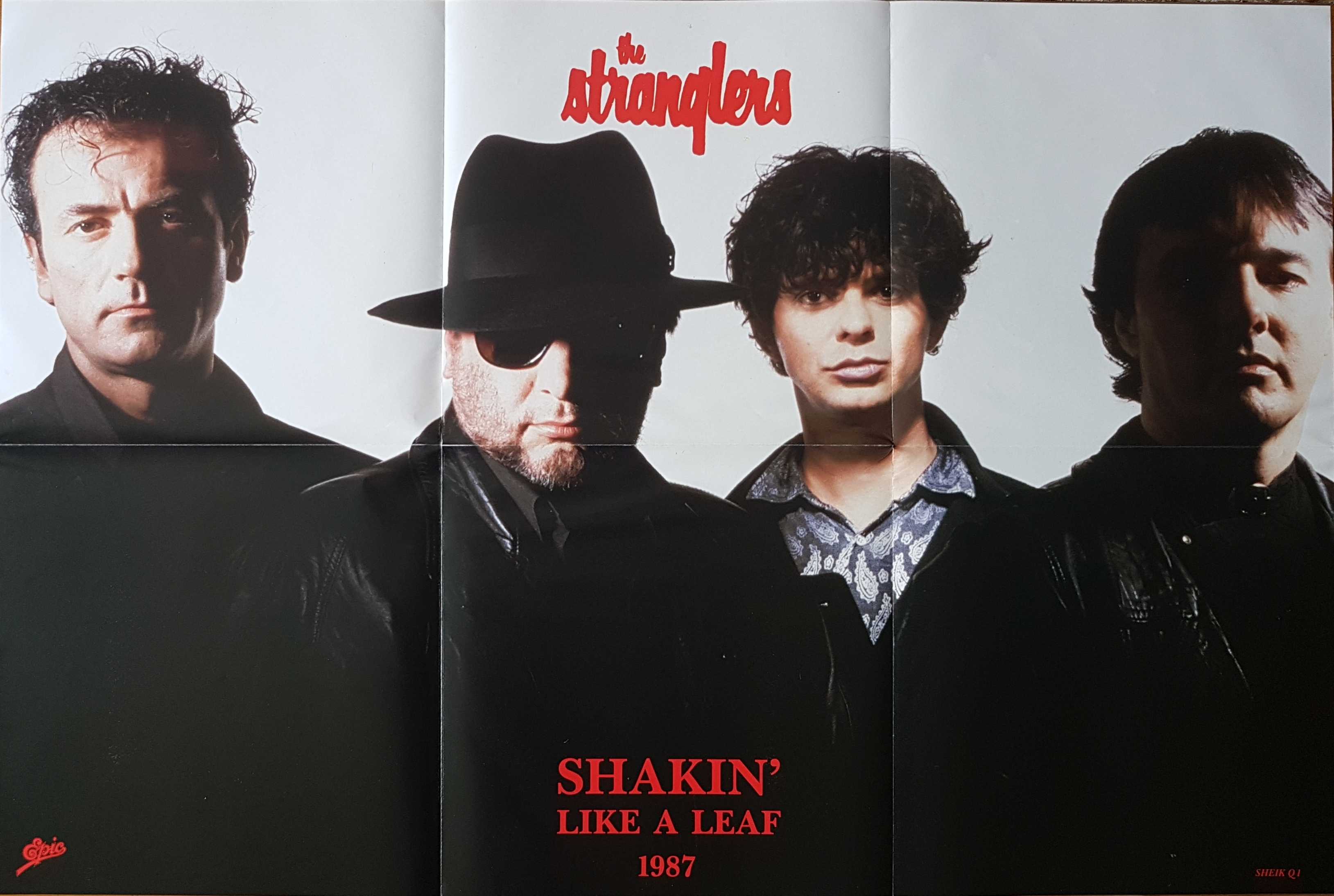 Picture of Poster-TS-SLAL Shakin' like a leaf by artist The Stranglers  from The Stranglers