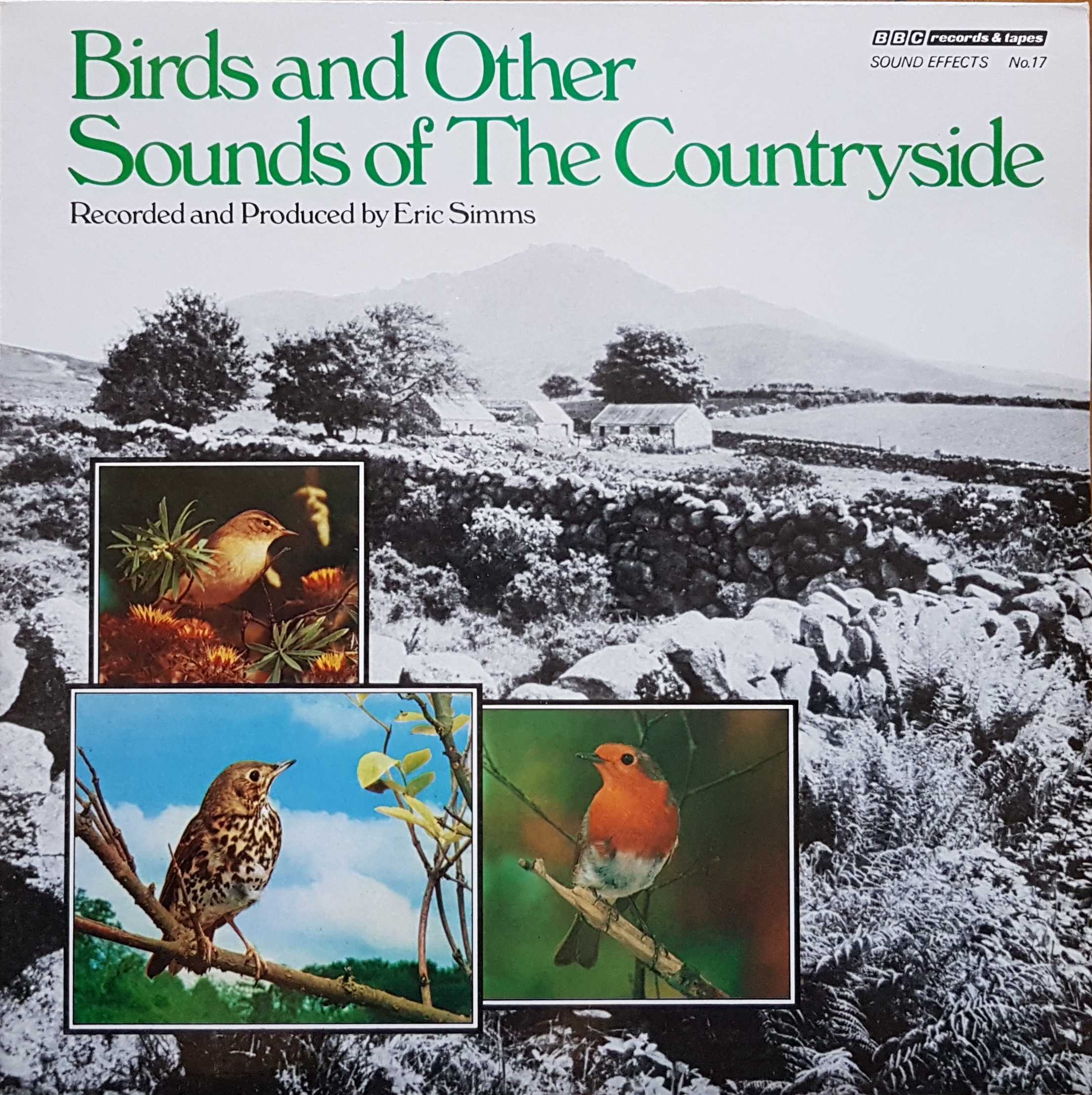 Picture of REC 299 Birds and other sounds of the countryside (Sound effects no. 17) by artist Various from the BBC albums - Records and Tapes library