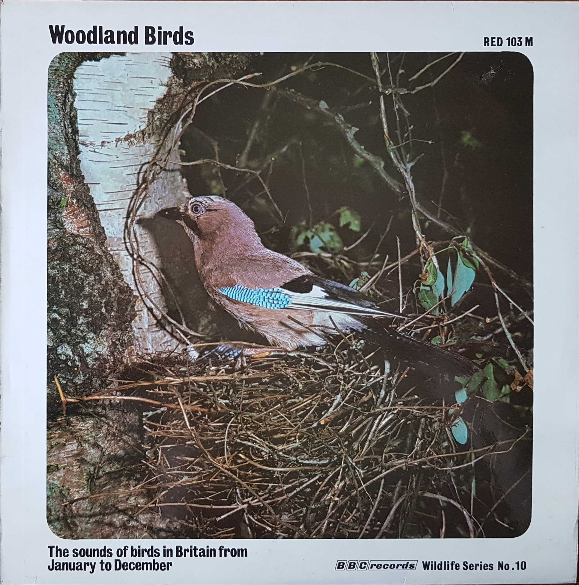 Picture of RED 103 Woodland birds - BBC wildlife series no. 10 by artist Various from the BBC albums - Records and Tapes library
