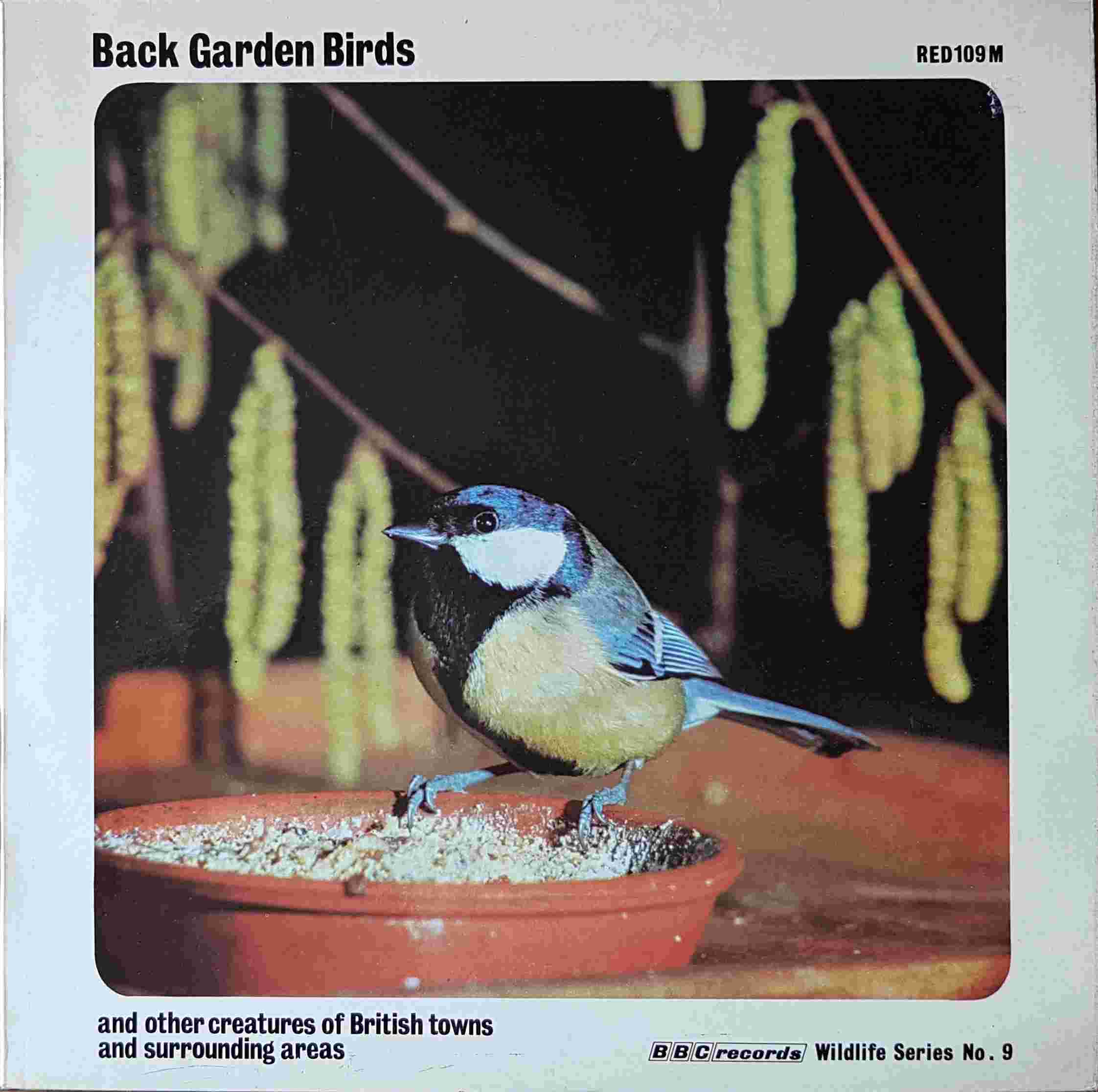 Picture of RED 109 Back garden birds - BBC wildlife series no. 9 by artist Various from the BBC albums - Records and Tapes library