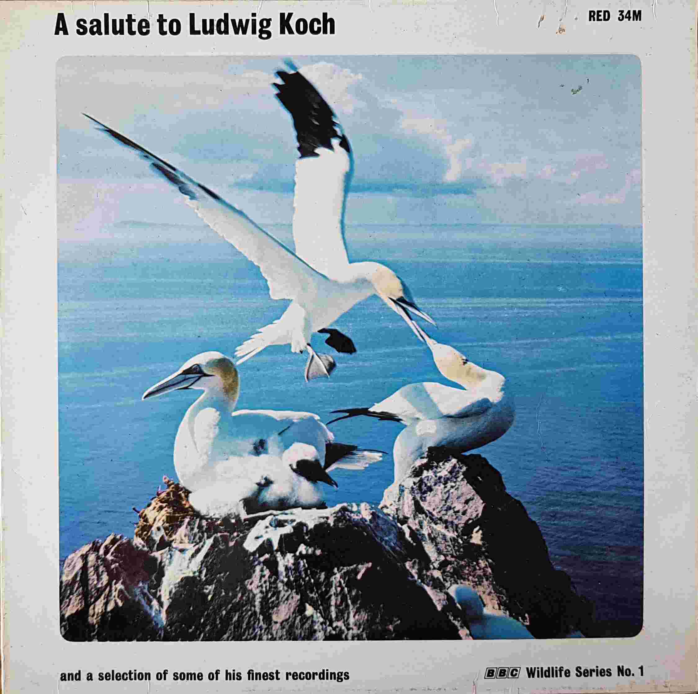 Picture of RED 34 A salute to Ludwig Koch - BBC wildlife series no. 1 by artist Ludwig Koch from the BBC albums - Records and Tapes library