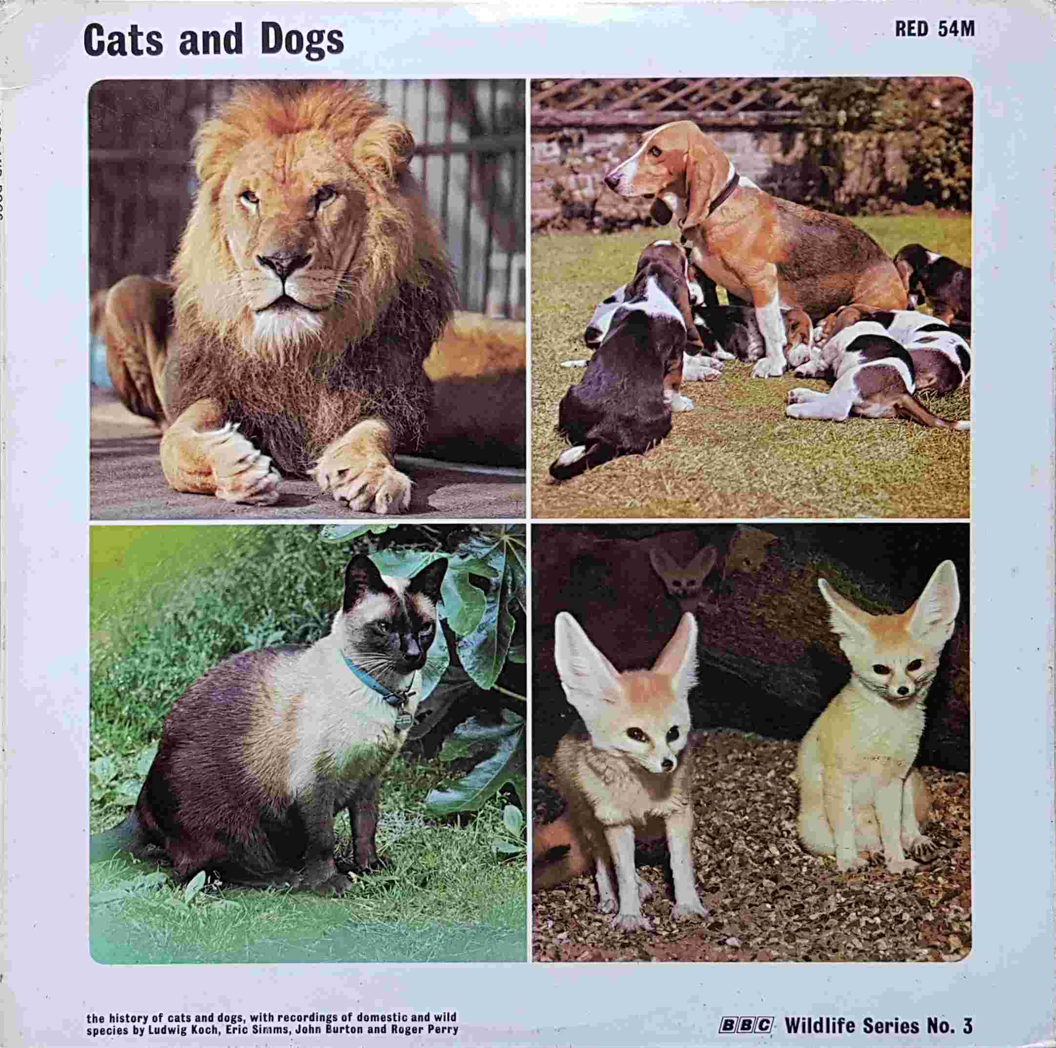 Picture of RED 54 Cats and Dogs - BBC wildlife series no. 3 by artist Various from the BBC albums - Records and Tapes library