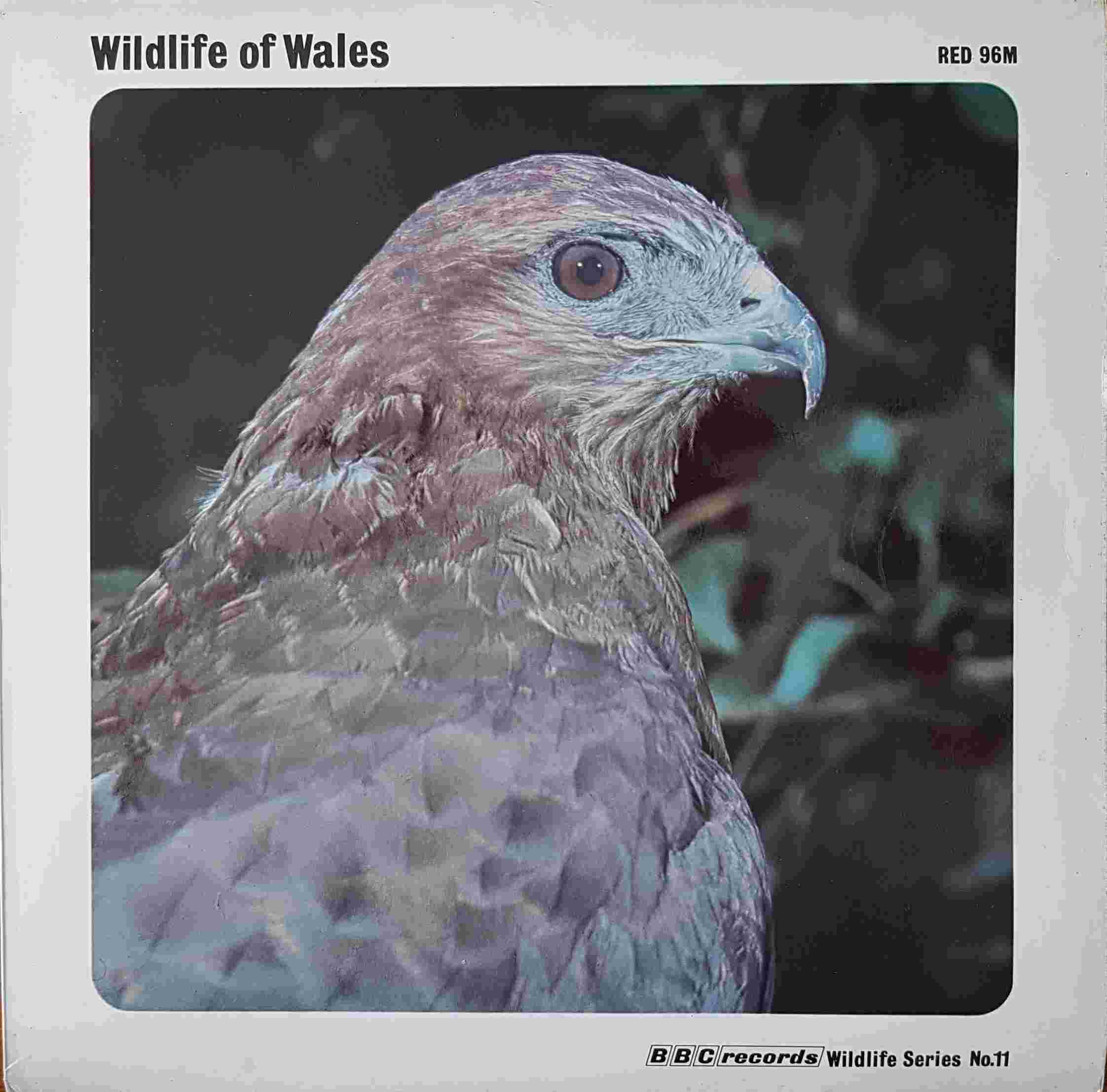 Picture of RED 96 Wildlife of Wales by artist Various from the BBC albums - Records and Tapes library