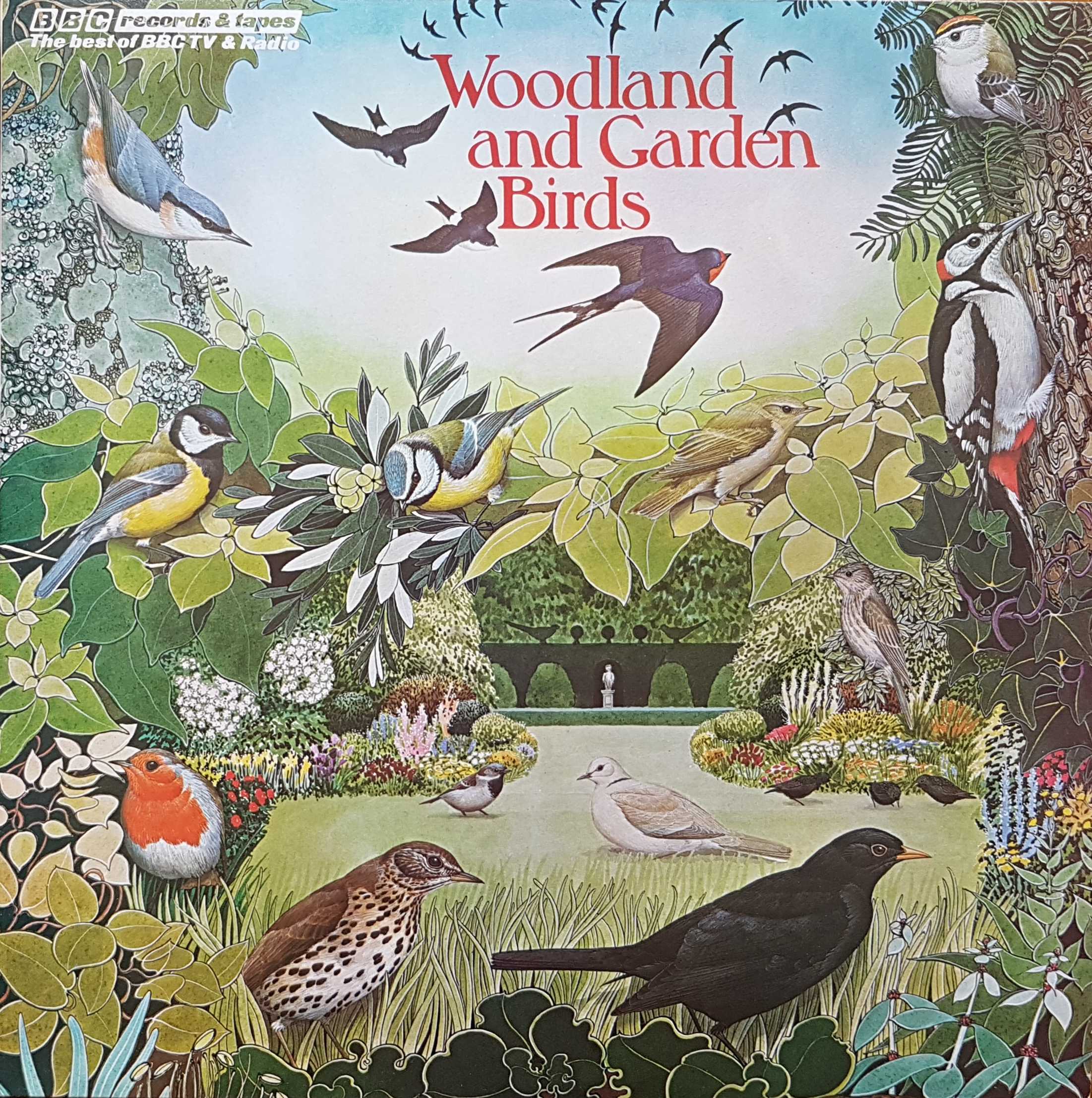 Picture of REF 235 Woodland and garden birds by artist Various from the BBC albums - Records and Tapes library